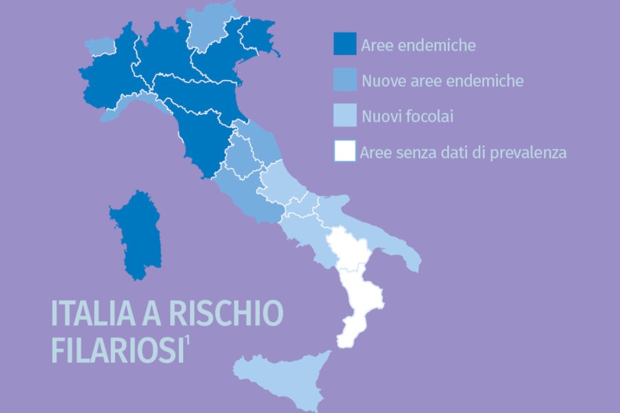 Filariosi polmonare in Italia
