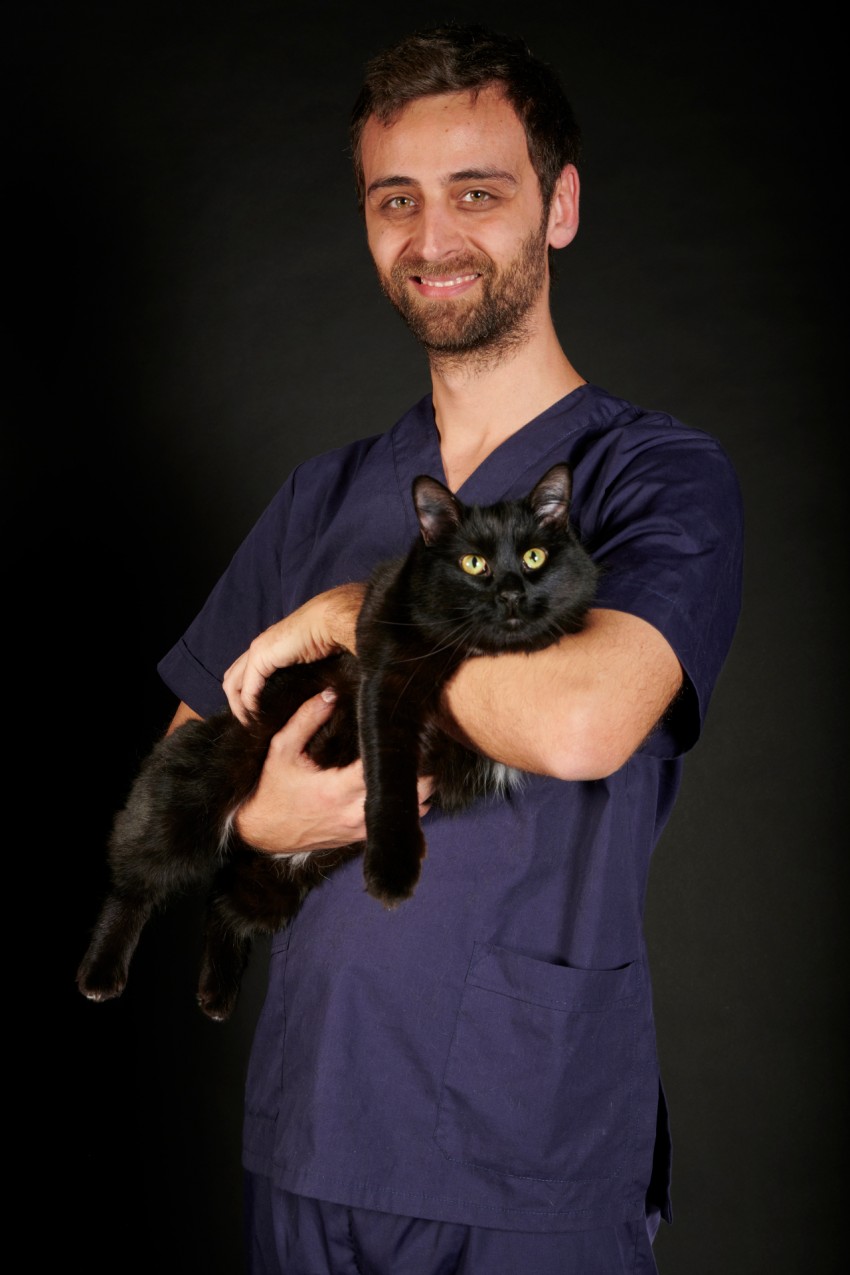 Dott. Alberto Palumbo - Clinica veterinaria Anubis